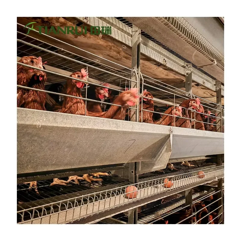 Фото Клетка для кур H-типа: автоматизированная система содержания птицы, готовая к отгрузке, из оцинкованной сварной проволоки №1