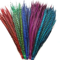 50pcslot colored lady amherst pheasant feathers for crafts long big feather decor top with carnival holiday wedding decoration