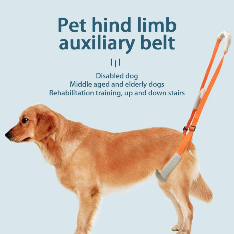 

Pet Dog Auxiliary Belt Harness Assist Lift Support Rehabilitation Belt for Elder Disabled Sick Dog Pet Dogs Aid Assist Tool