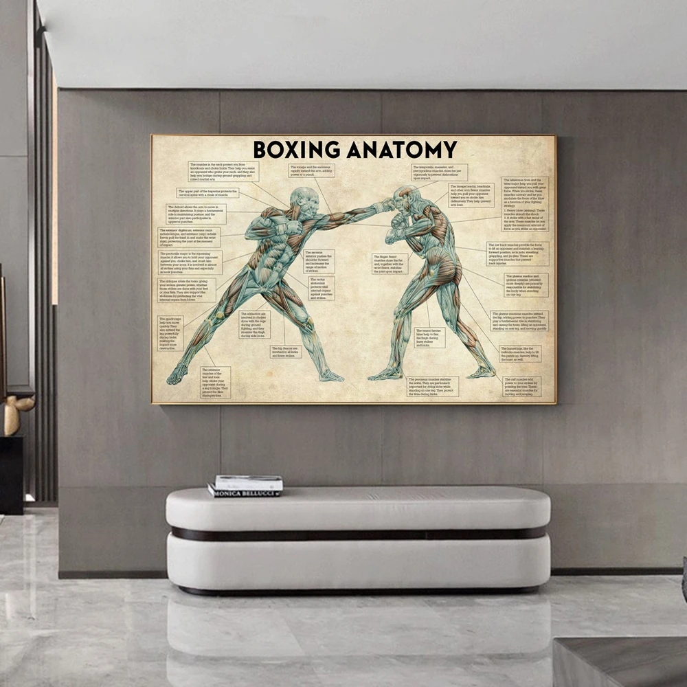

Винтажные боксерские плакаты по анатомии тела, современные настенные художественные картины на холсте, подарок для любителей бокса, декор ...