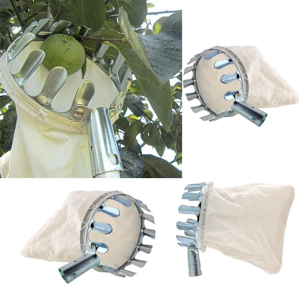 

Практичный инструмент для сбора фруктов и груши оранжевого цвета