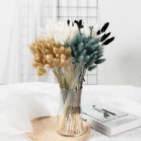 30pcs natural dried flowers rabbit bunny tail grass bunch mini pampas real flower bouquet ried flowers wedding party decoration