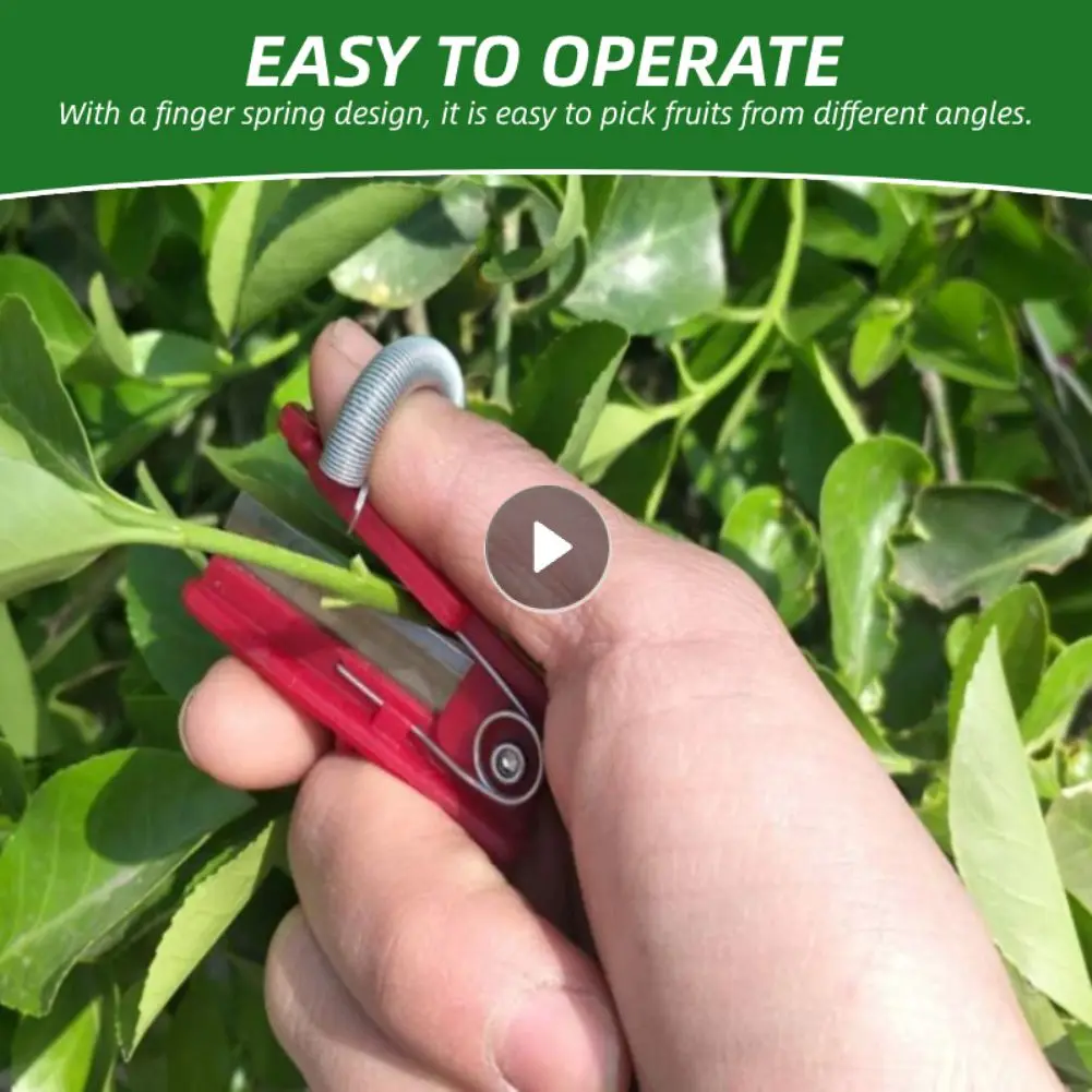

Thump Knife Separator Vegetable Fruit Harvesting Picking Tool For Farm Garden Orchard Vegetable And Fruit Picker For Farm Garden