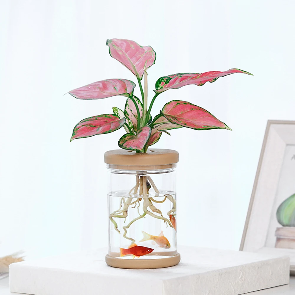 

Transparent Hydroponic Flower Pot Imitation Glass Soilless Planting Potted Green Plant Resin Flower Pot Home Plant Vase Decor