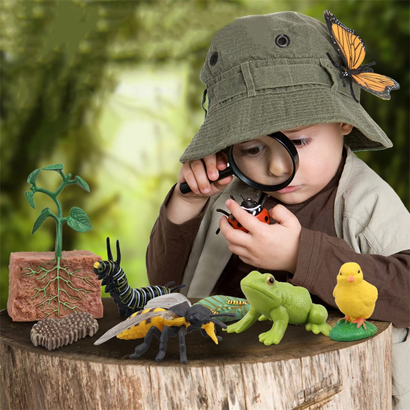 Игрушки Монтессори, обучающие материалы, животные, жизненный цикл, соответствующие образовательные игрушки Монтессори, обучающая помощь, детский подарок G46Y Игрушки Монтессори, обучающие материалы, животные, жизненный цикл, соответствующие образовательные игрушки Монтессори, обучающая помощь, детский подарок G46Y