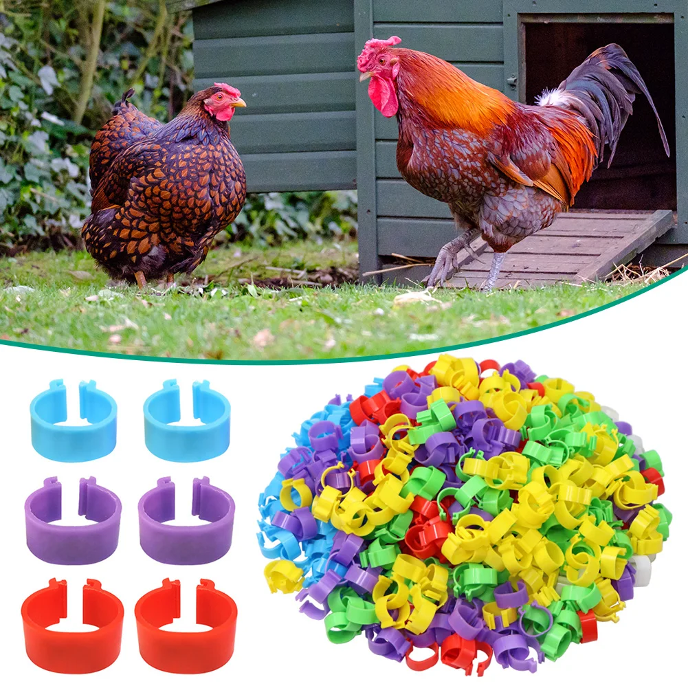 

100PCS Chicken Inner Diameter 16/20mm Foot Ring No Text Label Buckle Poultry Leg Chick Duck Goose Animal Identification Tool
