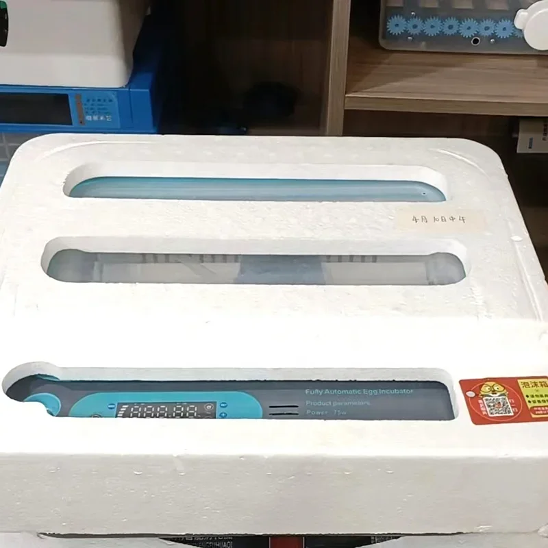 JIATAI с фабрики 12 15 24 36 44 мини-инкубатор для куриных яиц инкубатор оборудования