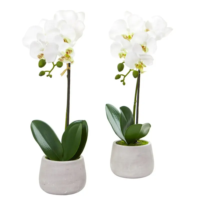 

Phalaenopsis Orchid Artificial Flower Arrangement (Set of 2), White