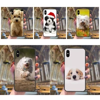 great cell phone case capa havanese dog for apple iphone 13 12 mini 11 pro xs max xr x 8 7 6s 6 plus 5s se