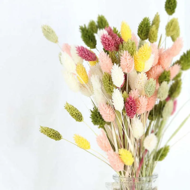 

Gem Grass Flowers Natural Flower Jewelweed Home Living Room Decoration Bouquet Boho Home Decor Wedding Gift DIY Arrangement