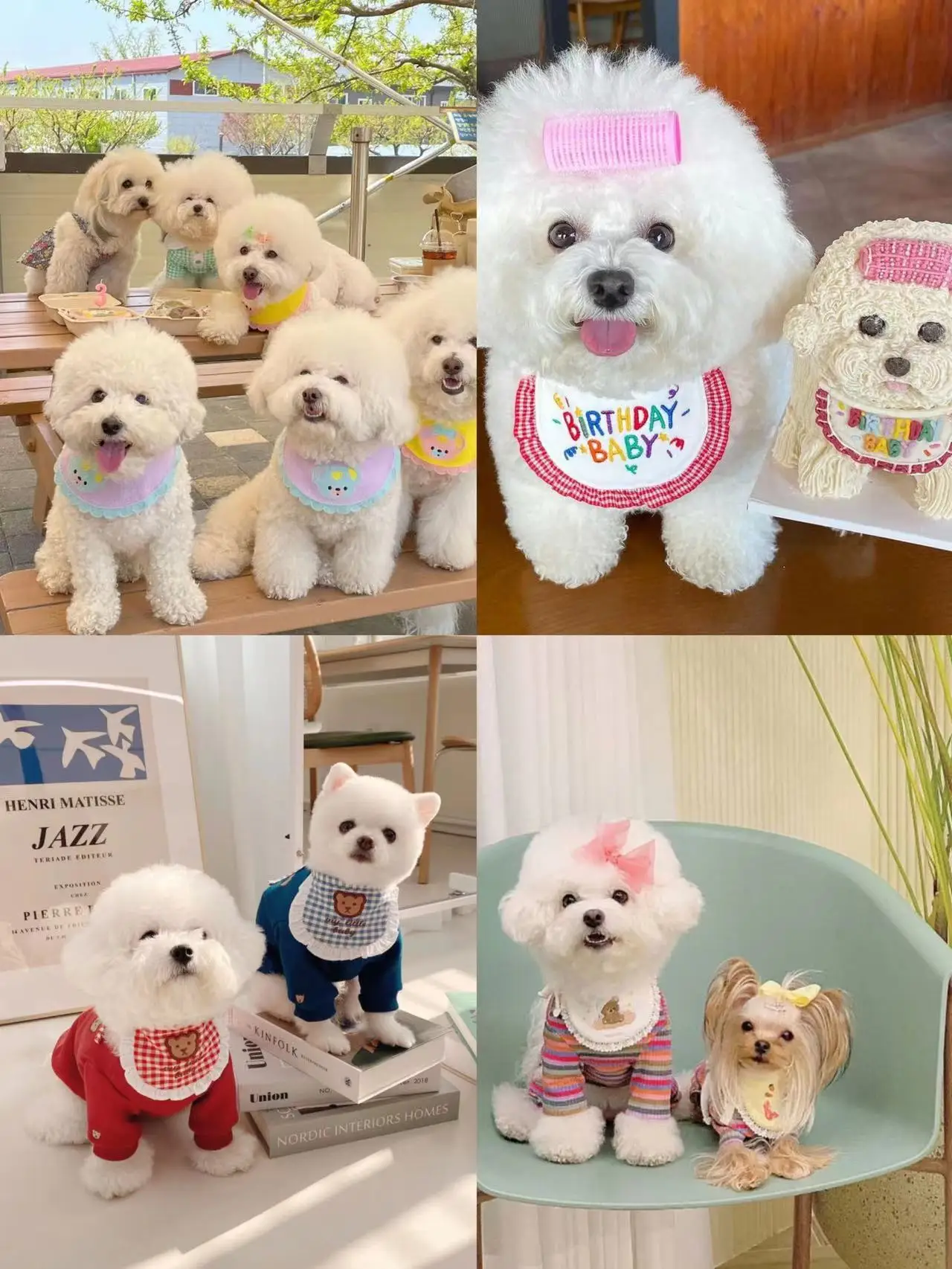 

2023 Ins Dog Party Birthday Bib Dog Cat Pet Saliva Pocket Saliva Towel Small Dog Pets Cute Birthday Bib Puppy Accessories