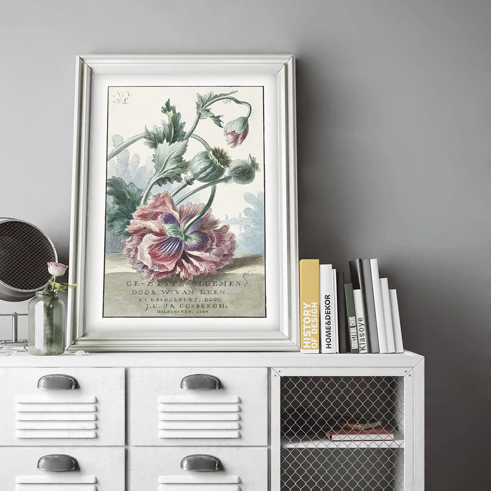 Виллем Ван Лен плакат маки винтажный художественный принт цветок ботанический