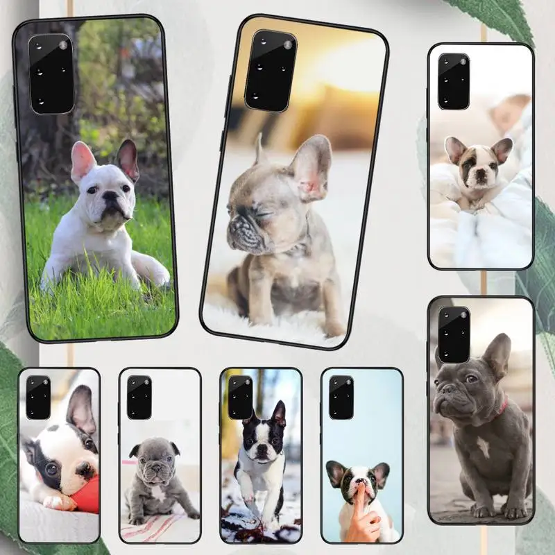 

French Bulldog Cute animal Phone Case For Samsung galaxy A S note 10 12 20 32 40 50 51 52 70 71 72 21 fe s ultra plus