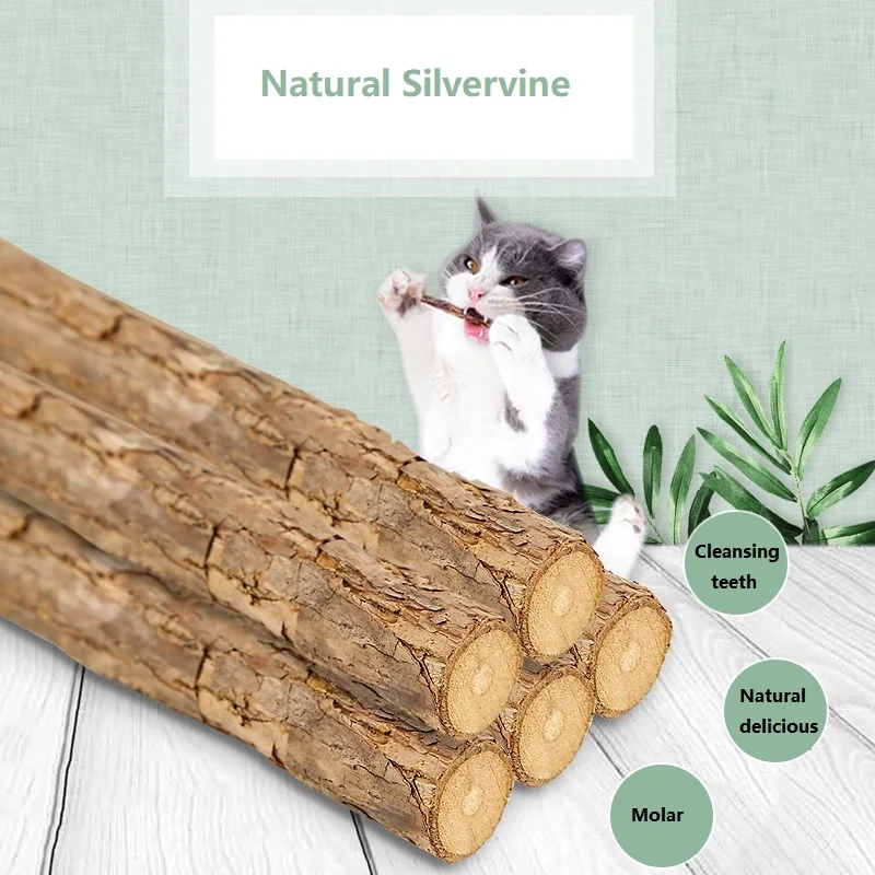 

Matatabi Actinidia Fruit Silvervine Natural Catnip Pet Molar Toothpaste Stick Cat Snacks Sticks Pet Cleaning Teeth Products