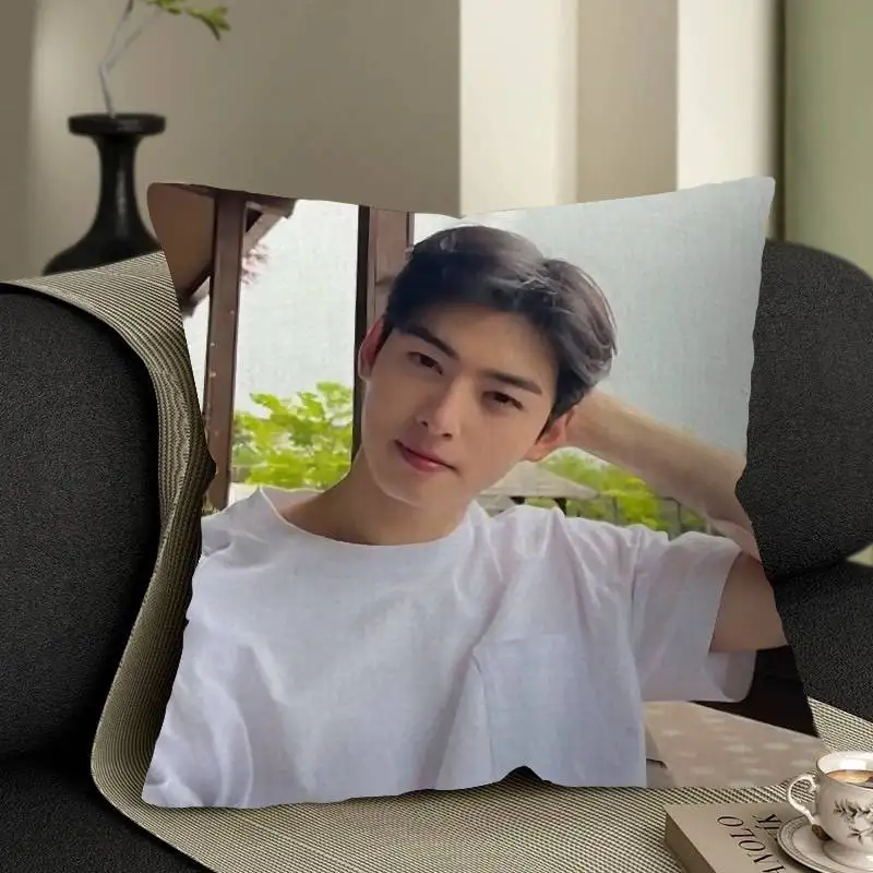 Фото Персонализированный чехол для подушки Kpop A-Astro Cha Eun Woo, декоративная наволочка для спальни, украшение для детской вечеринки, подарок на день рождения для детей №5