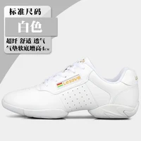Women Sneakers Competitive Aerobics Shoes Soft Bottom Fitness Sports Shoes Jazz / Modern Square Dance Shoes Feminino Size