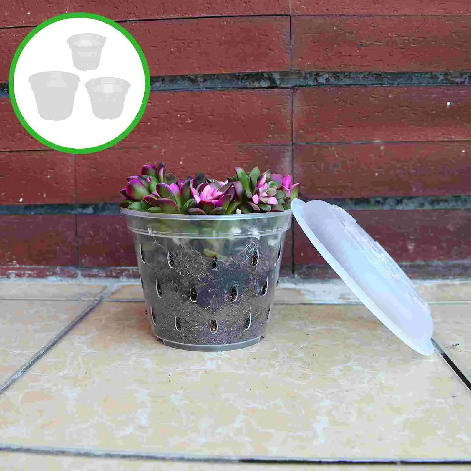 

Пластиковый прозрачный цветочный горшок для выращивания орхидеи