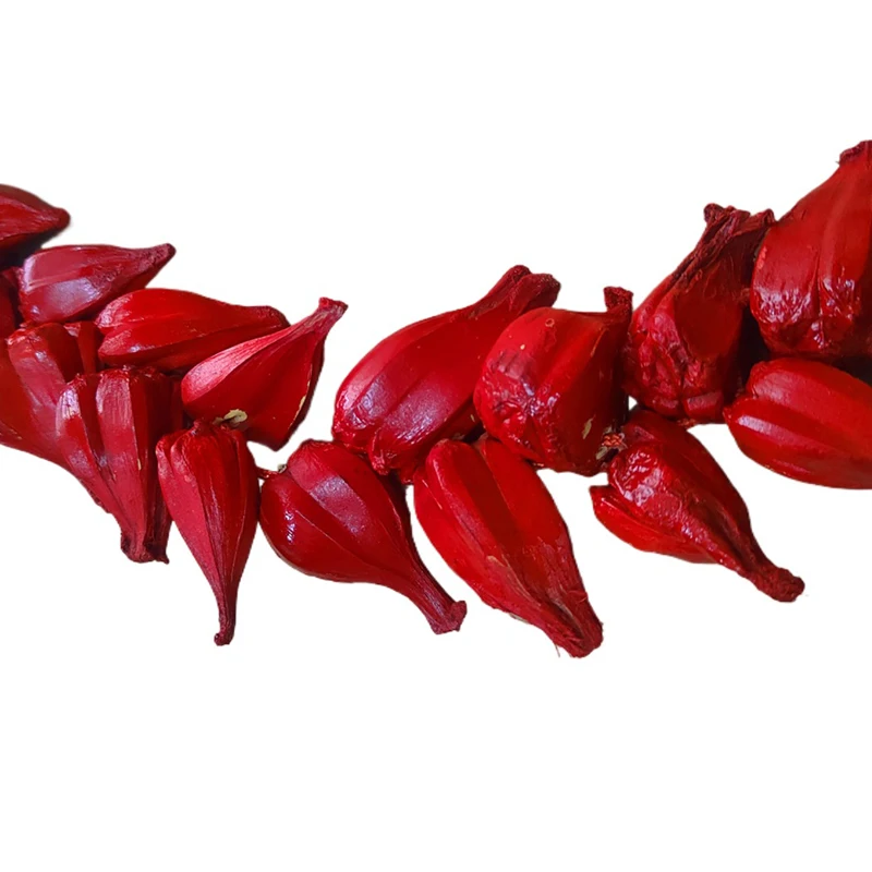 Традиционное ожерелье из натуральной красной волны самоанское официальное