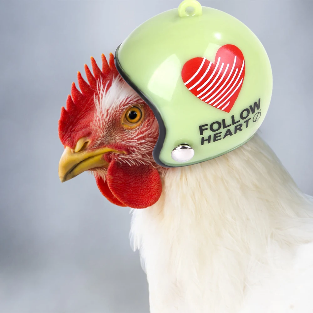 

Cute Graffiti Chicken Helmet Pet Bird Duck Hat Poultry Head Protection Headgear Pet Helmets Toy Bird Protect Cap