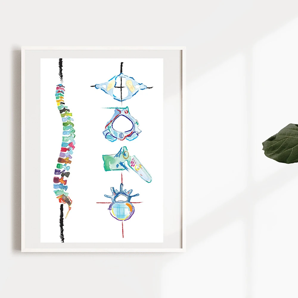 

Human Anatomy Skeleton Wall Art Poster Spine Art Print Vertebral Column Anatomy Canvas Painting Medical Office Decor Pictures