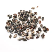 natural shell beads small no hole black pattern conch charms for jewelry making religion gift accessories decoration