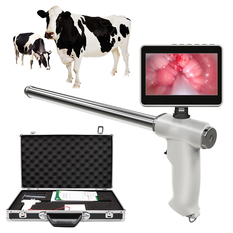 

Визуальный эндоскоп для коров, пистолет для спермы, молочного скота, ветеринарное разведения, инструменты для наблюдения, устройство для искусственного осеменения коров