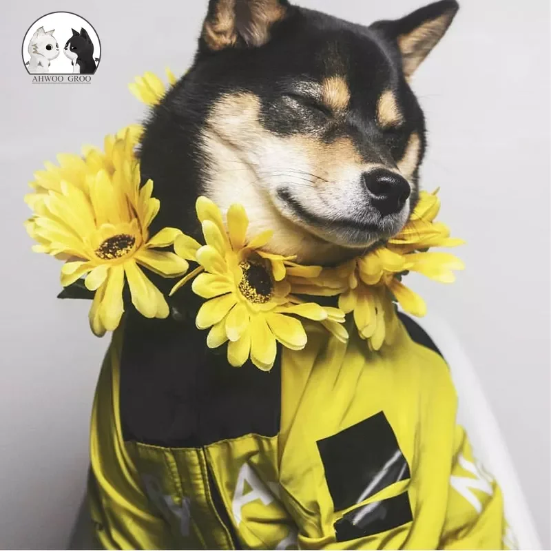 

NEW Pet Dog Raincoat Jacket Clothes Windproof Dog Coat Fashion Waterproof Reflective Pet Clothing for Small Medium Large Dog Fac