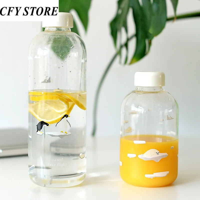 

600/1000ml Large Capacity Glass Water Bottle with Cloth Bag and Straw Outdoor Potable Tea Infuser Bottle Glasses Juice Drinkware