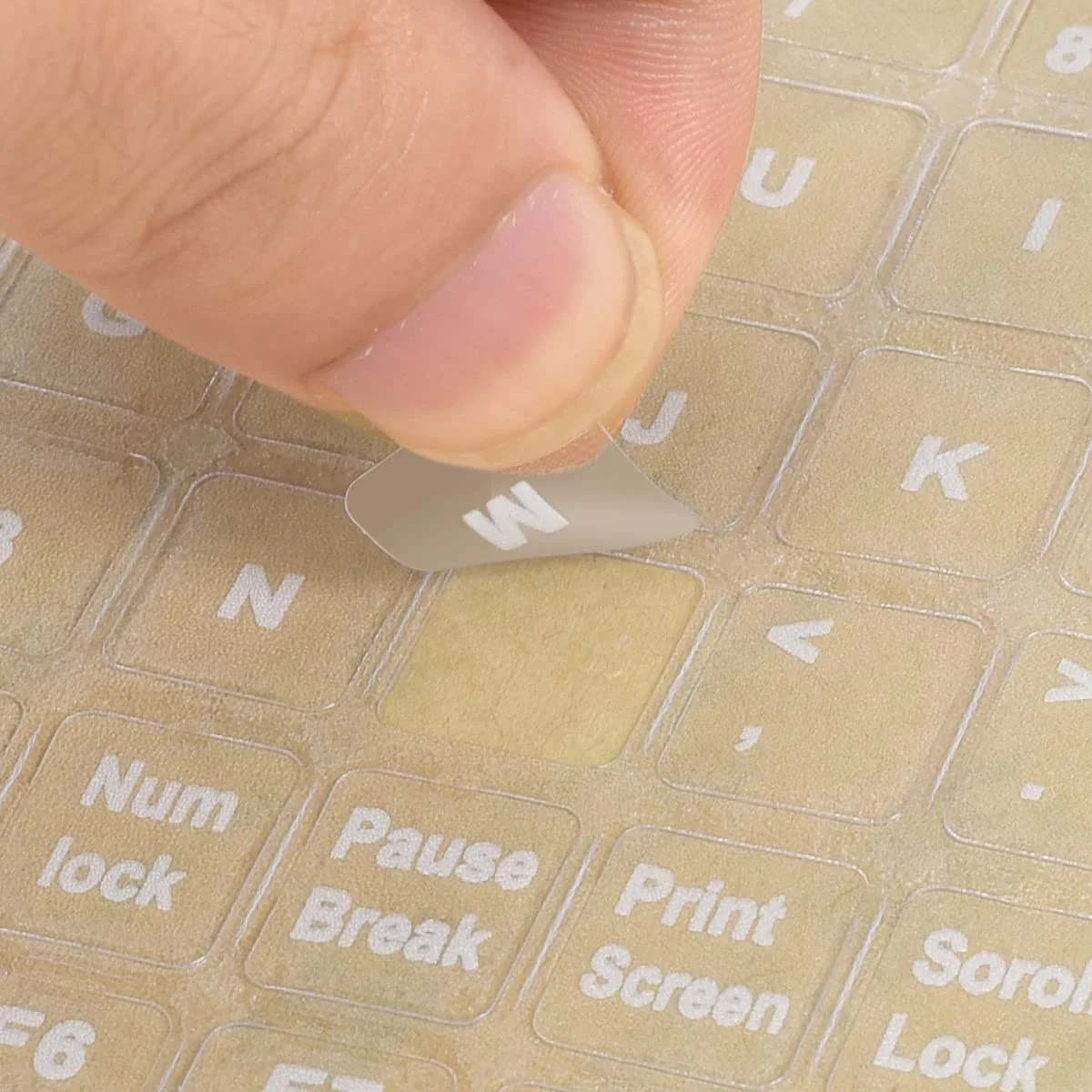 thumb