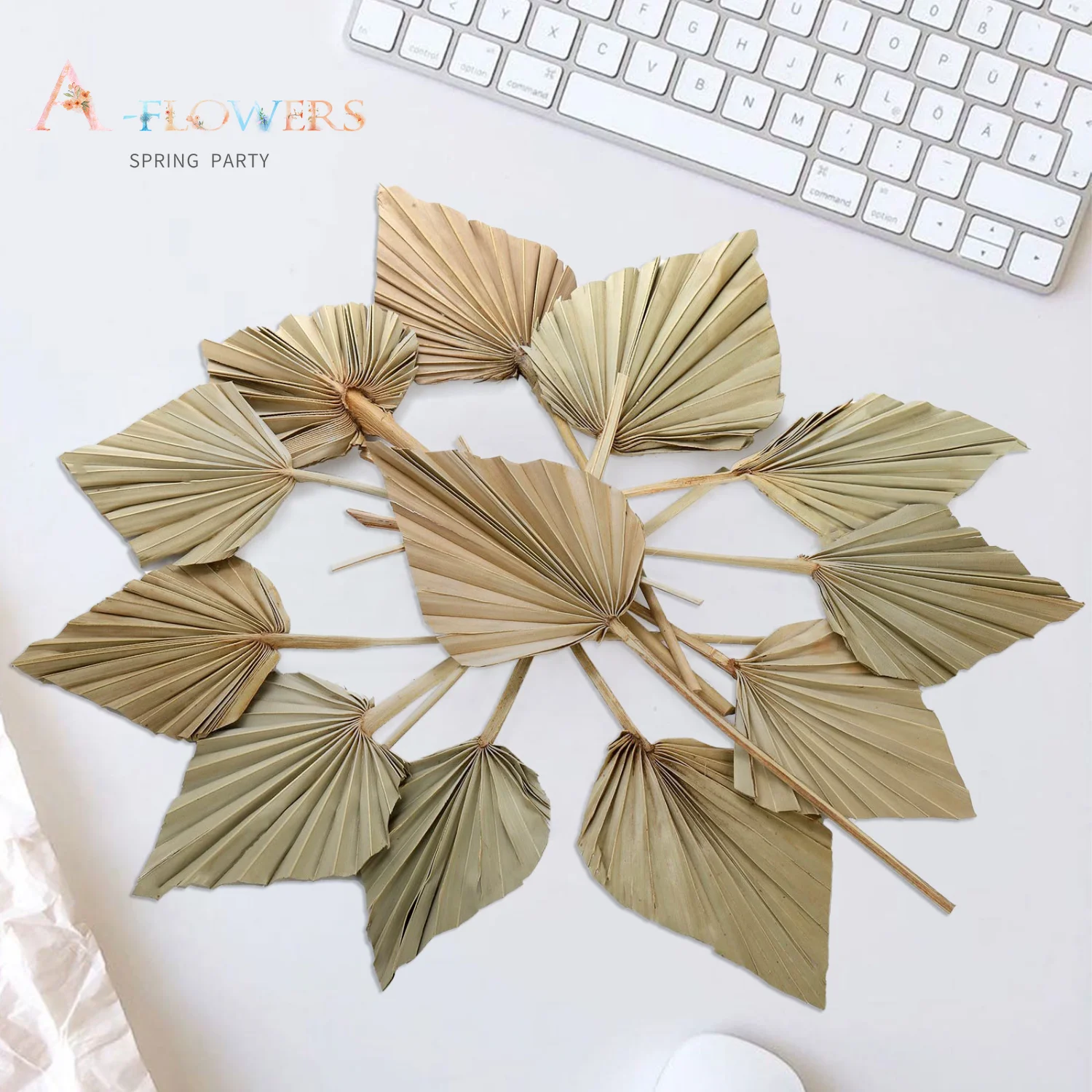 

Natural Palm Leaves Country Wedding Decoration Real Frond Fan Dried Flowers Boho Home Decor Aesthetic Accessory for Living Room