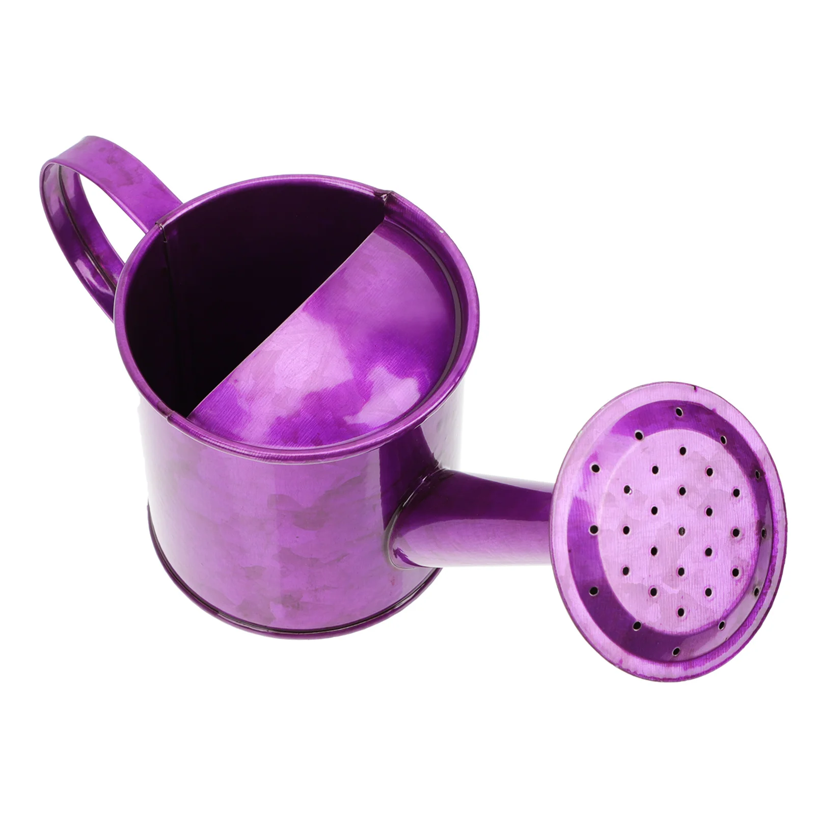 

Watering Can Pot Garden Flower Water Metal Kettle Indoor Bottle Spout Spray Outdoor Vase Bonsai Iron Sprinkler Tool Gardening