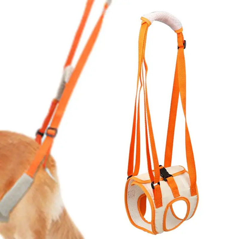 

Adjustable Dog Sling Back Legs Hip Support Pet Accessories For Canine Aid And Ligament Rehabilitation Dog Lift Harness For Elder