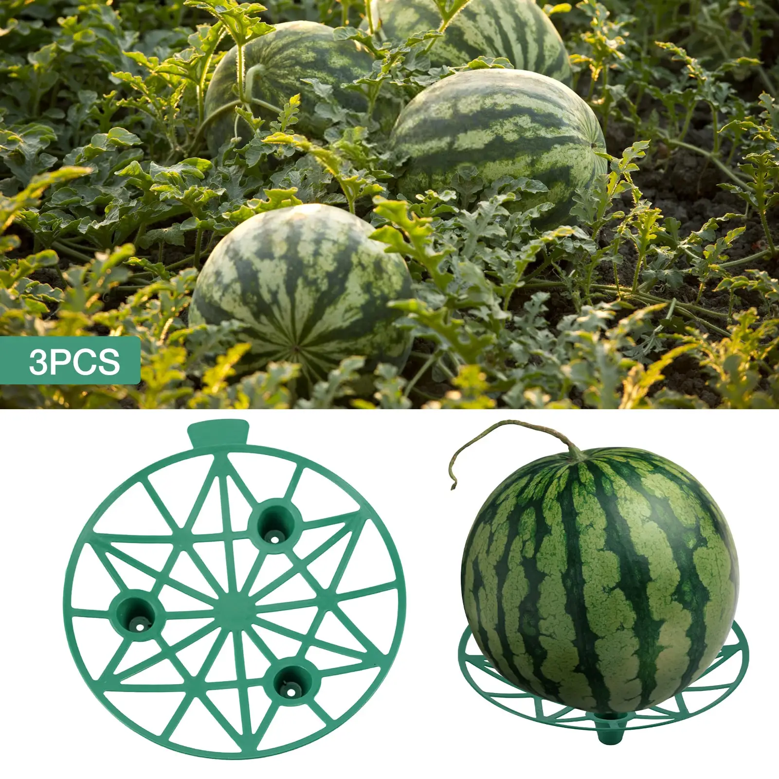 3 шт. прочная Тыква для арбуза |