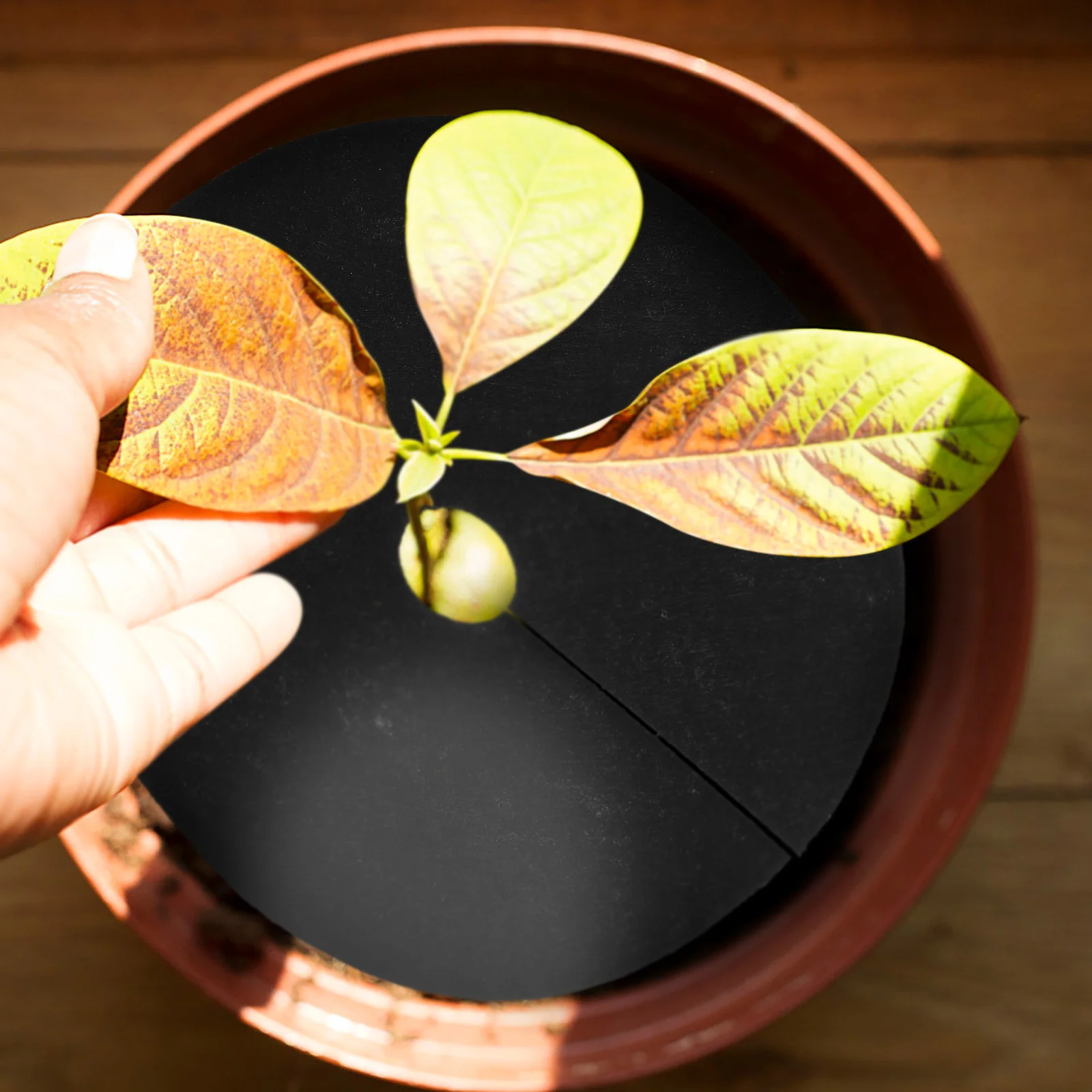 20 шт. наземная ткань анти-кольцевой барьер прополка анти-травяная нетканая