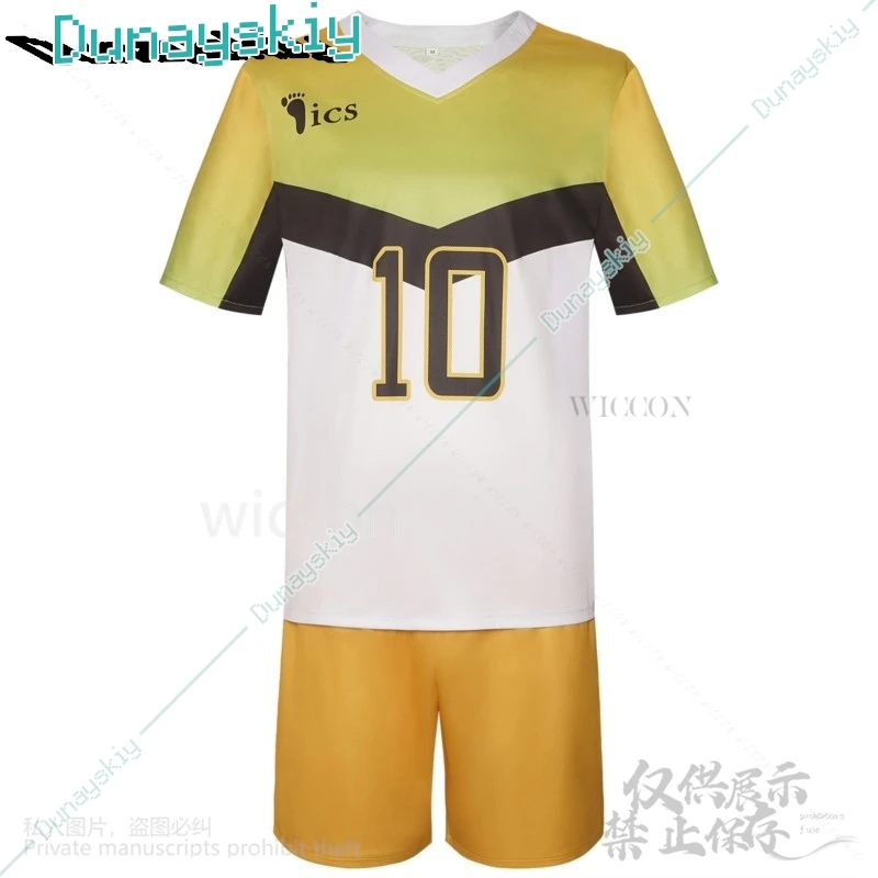 Аниме Институт Итаюамы униформа косплей Сакуса Киёоми костюм волейбольное