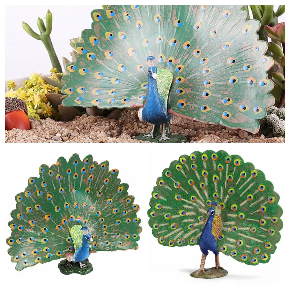 

& Nature, игрушка для раннего обучения, реалистичная модель павлина, фигурки птиц, развивающая игрушка, зоопарк