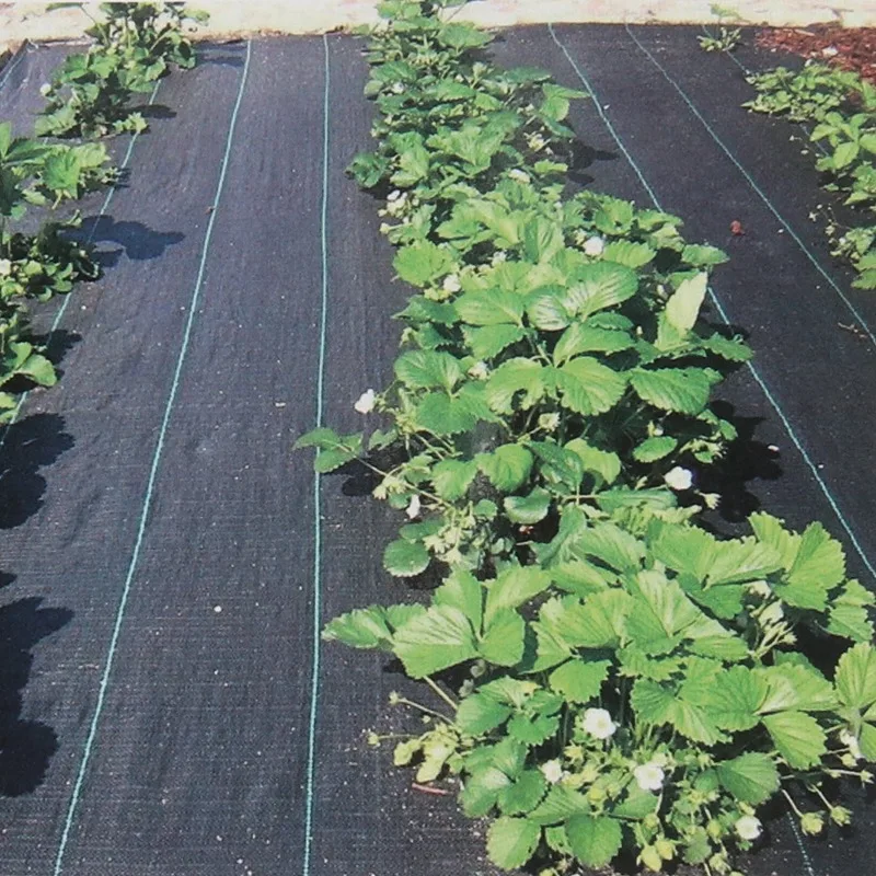 

Tewango черный полипропиленовый коврик для сорняков 0,5~4 м