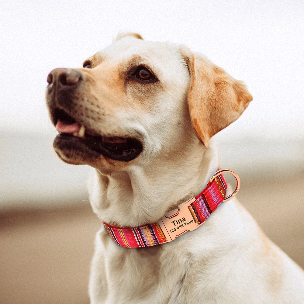 Именной ошейник для собак нейлоновое ожерелье с именной табличкой гравировкой