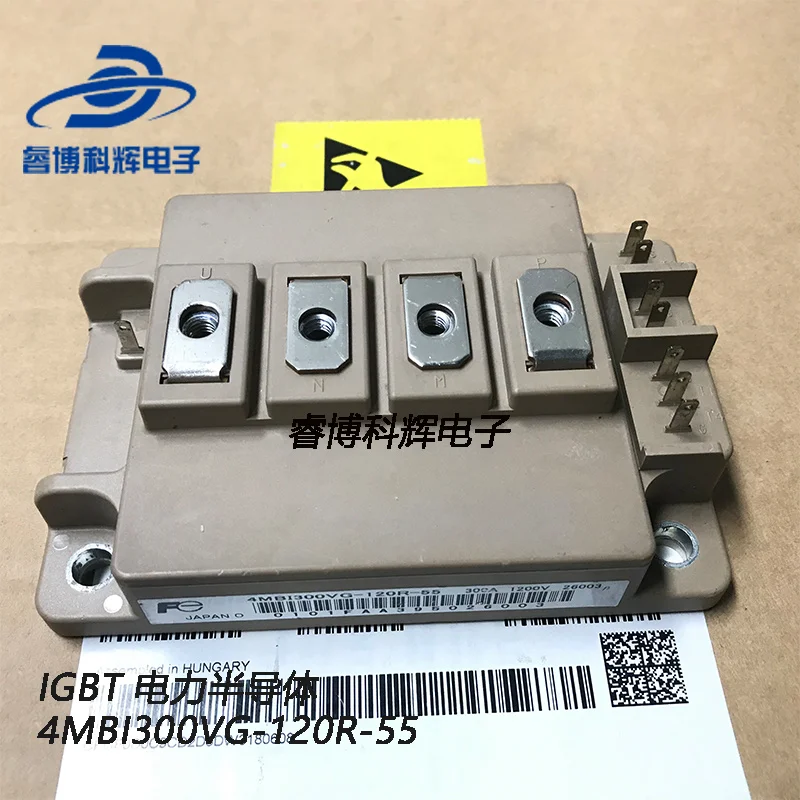 

Original semiconductor power module bivg-3004m