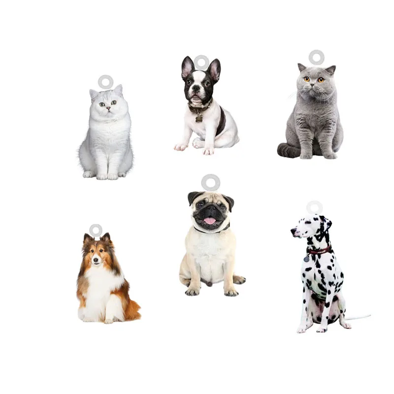 

10PCS Acrylic Cat Dog Pendant Charms Double Sides Cute Animal Pet Dog Makings Charms For DIY Earrings Keychain Jewelry