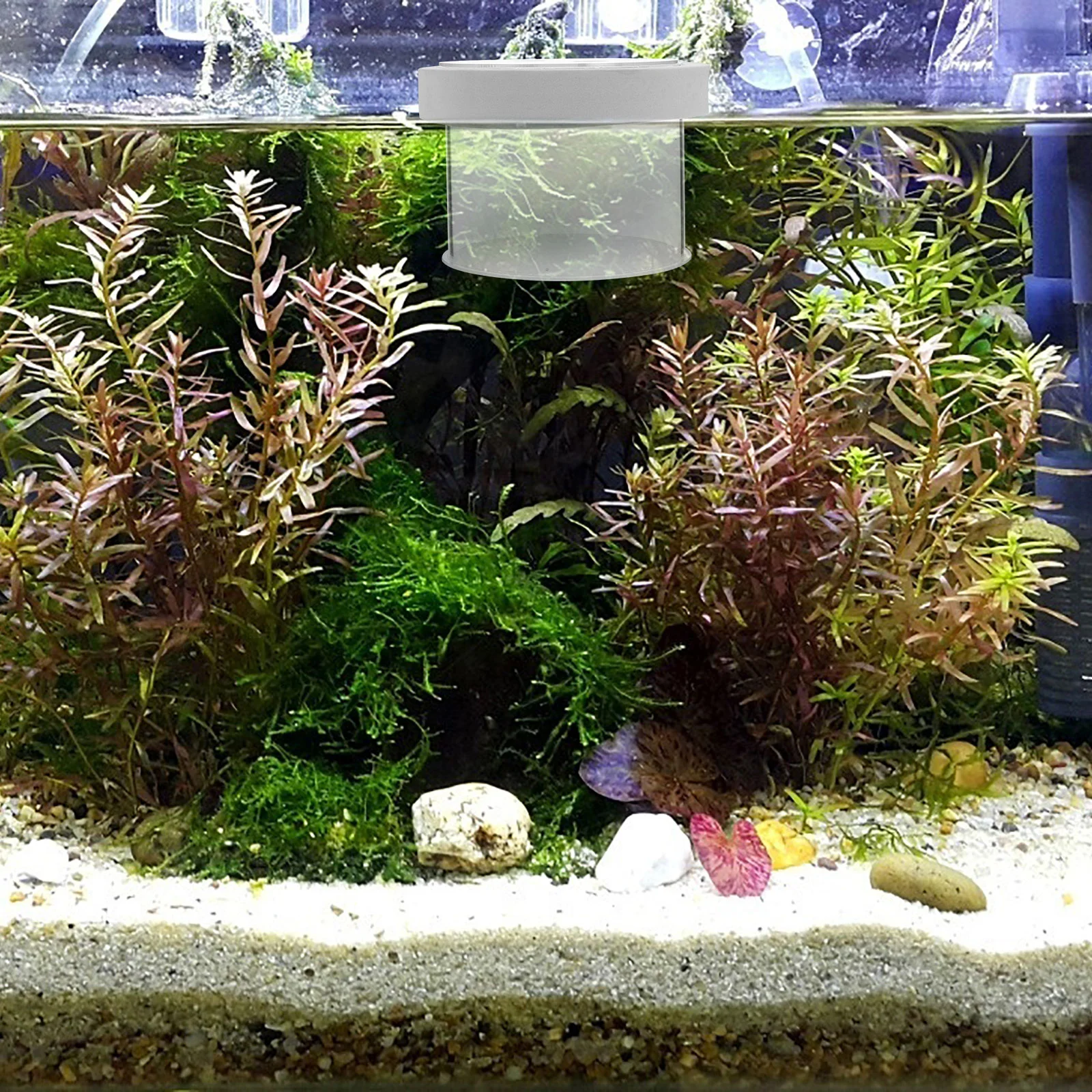 Контейнер для образцов изоляционная коробка аквариума инкубатор хранения детей