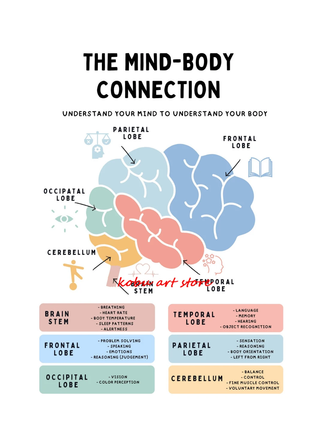 

Плакат "Человеческая нервная система"