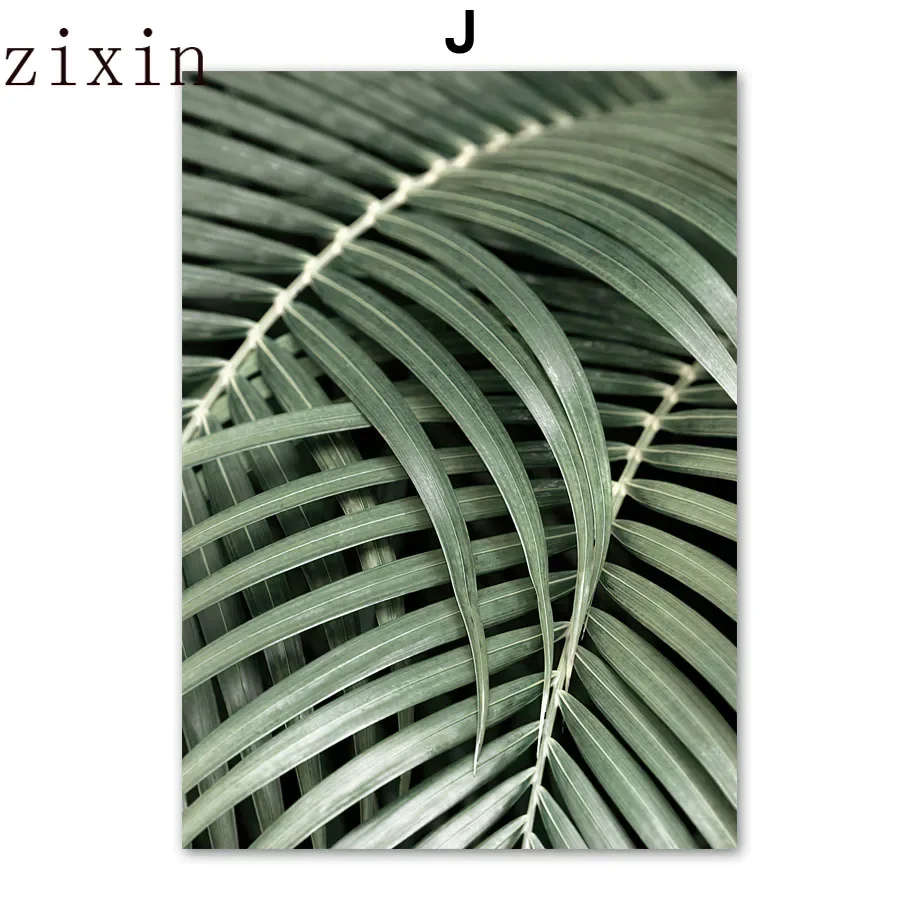 

Настенная картина "Кокосовое дерево, бамбуковый лес"