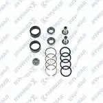 

10114 для ремонта клатча CATAL (без образца), стандартная Европа 3/