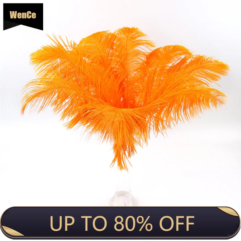 

20-25CM Natural Ostrich Feathers 10-500pcs Wedding Party Scene Layout Plumas Decoration Supplies Clothing Sewing Accessories