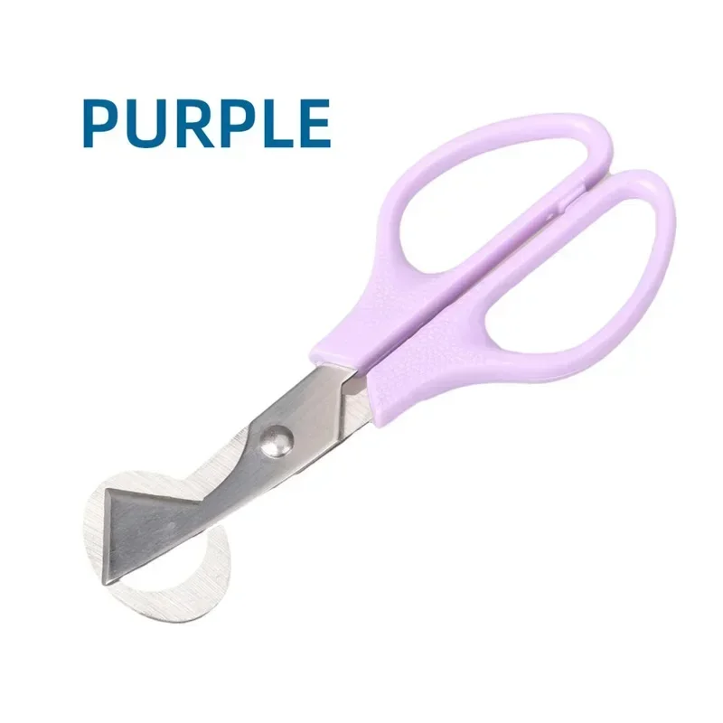 

Ножницы для перепелиных яиц Ножницы для птичьих яиц Ножницы для яиц из нержавеющей стали Ножницы для яичной скорлупы Открывалка для яиц Кухонные ручные инструменты Ножницы