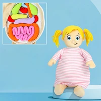 human body anatomy toy body organ awareness soft doll for classroom student