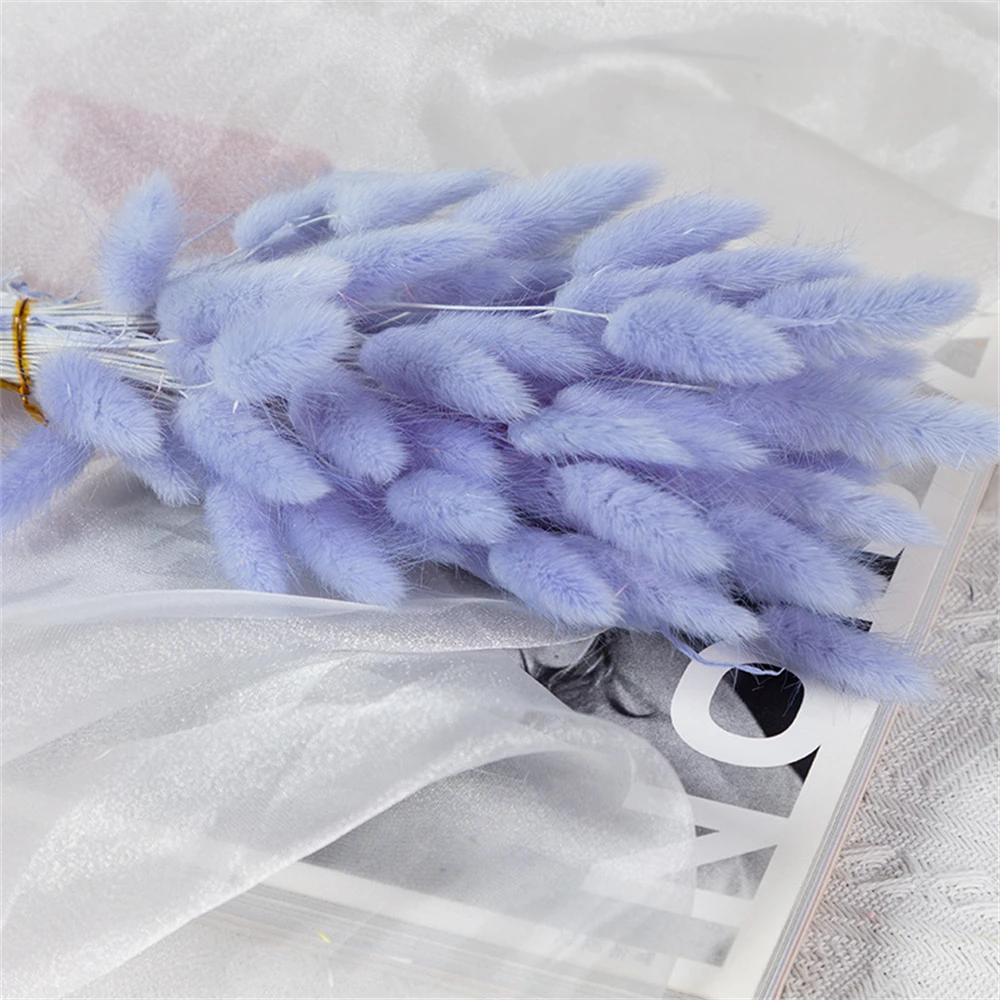 Букет пушистых кроличьих хвостов Lagurus Ovatus  YN HI FLOWER ENJOY YOUR LIFE