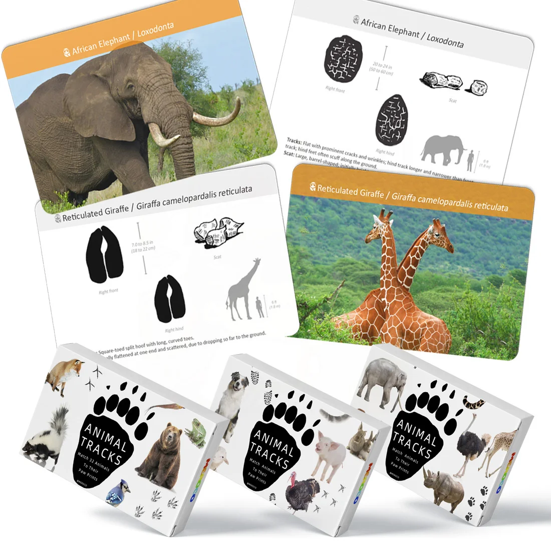 

Montessori Toys Animal Track Cards Footprint Cards Kids Toys Educational Learning Activities For Kids Toys For Children D65Y