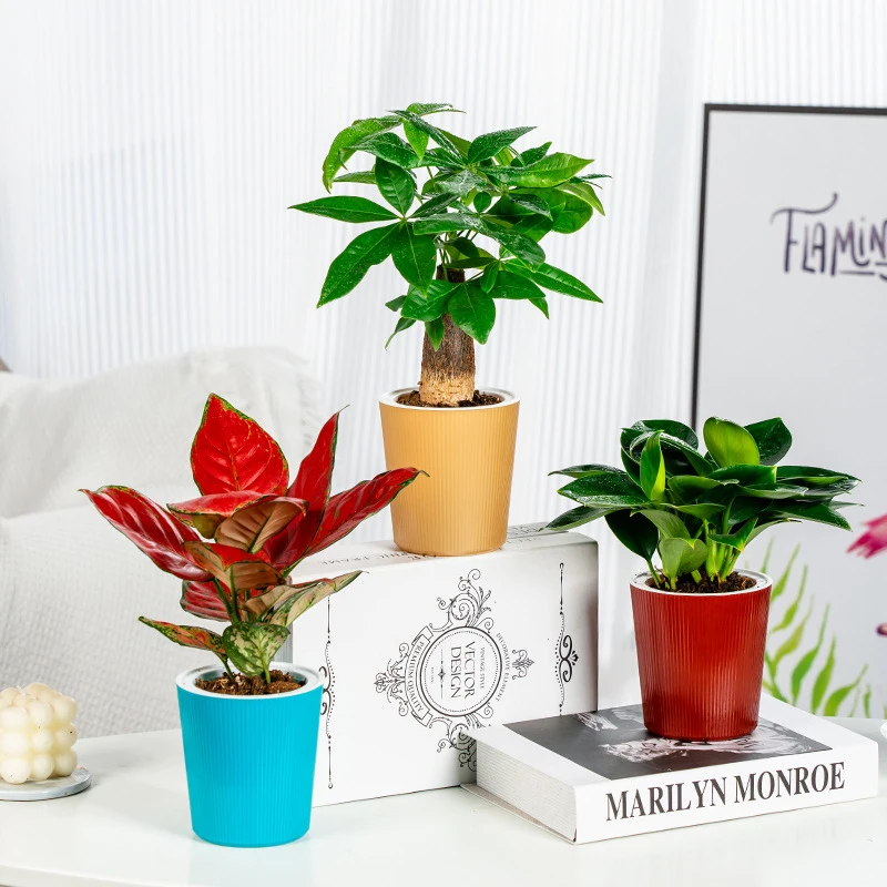 

1 шт., автоматический цветочный горшок для растений